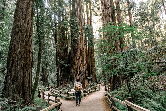 One Day in San Francisco: Alcatraz, Muir Woods, and SF City Tour - The Palace of Fine Arts and Golden Gate views