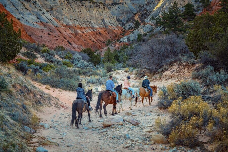 Orderville: East Zion Park White Mountain Horseback Tour - What to bring and what to leave behind