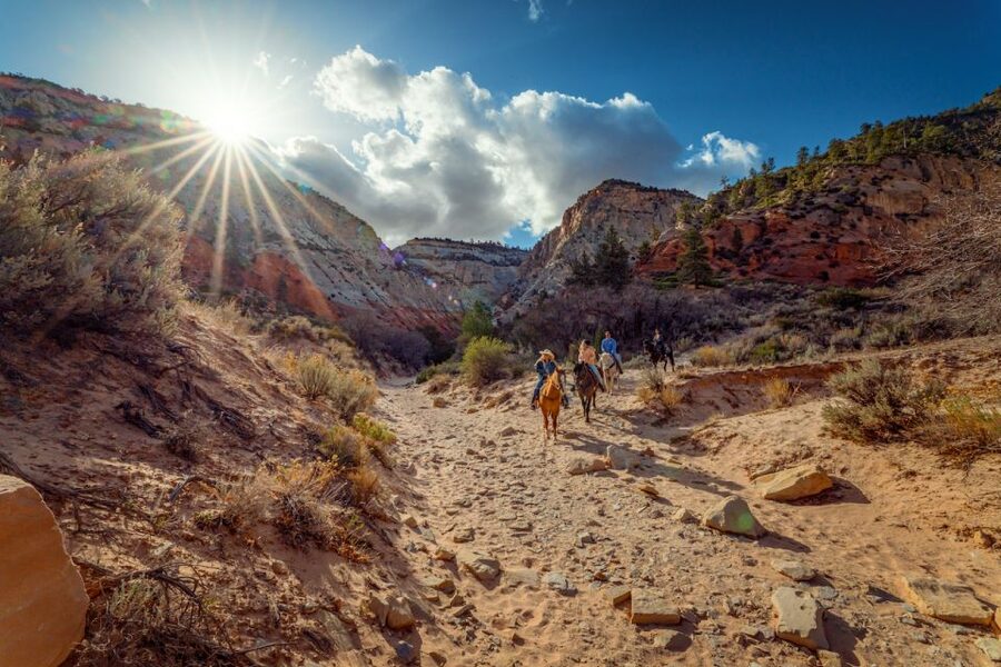 Orderville: East Zion Park White Mountain Horseback Tour - The trail to White Mountain’s sandstone walls