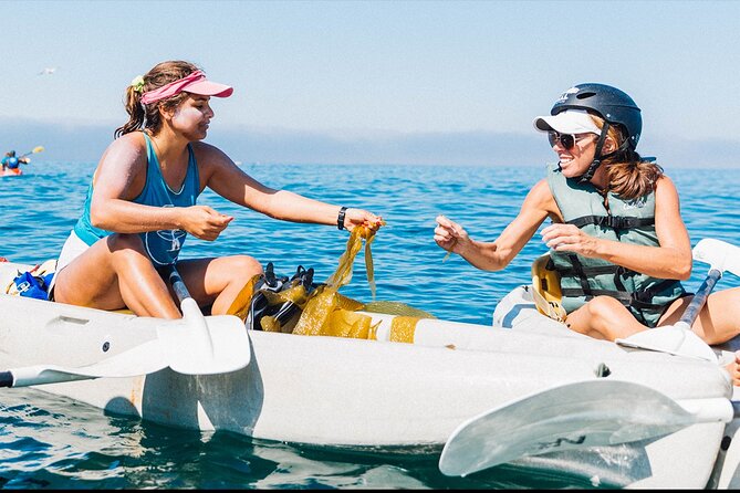 Original La Jolla Sea Cave Kayak Tour for Two - What the La Jolla kayak tour is really like