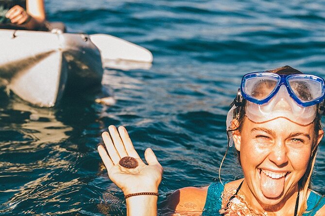 Original La Jolla Sea Cave Kayak Tour for Two - Wildlife, views, and the parts you cannot control