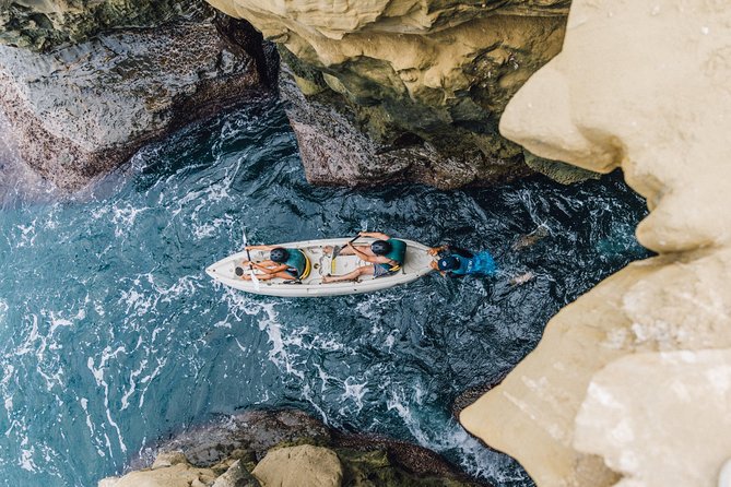 Original La Jolla Sea Cave Kayak Tour for Two - Guides and group feel