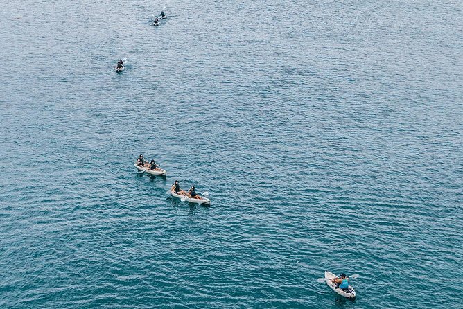 Original La Jolla Sea Cave Kayak Tour for Two - Parking, booking, and cancellation details