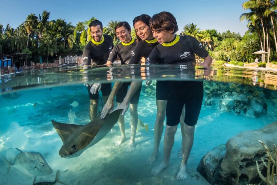 Orlando: Discovery Cove Admission Ticket & Additional Parks - A quieter alternative to Orlando’s big parks