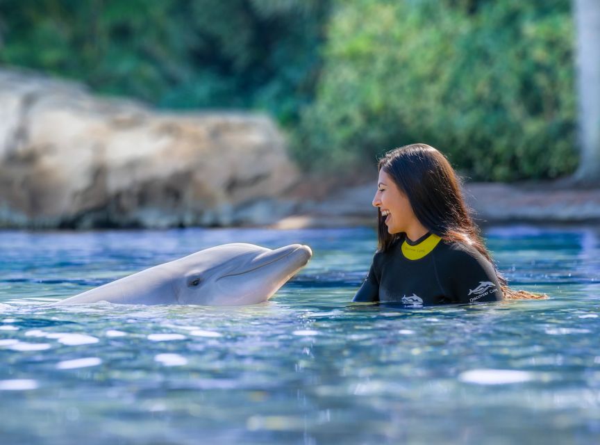 Orlando: Discovery Cove Admission Ticket & Additional Parks - What your $144 includes