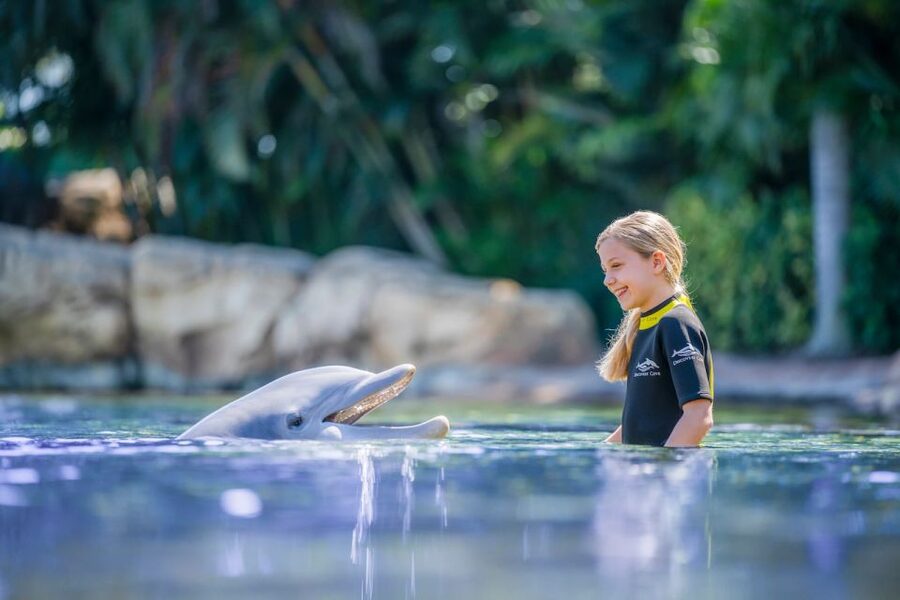 Orlando: Discovery Cove Admission Ticket & Additional Parks - The real cost of dolphin photos and upgrades