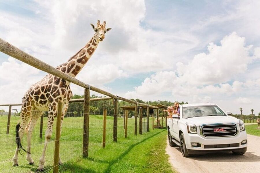 Orlando: Drive-Thru Safari Park at Wild Florida - Quick takeaways from the Wild Florida safari