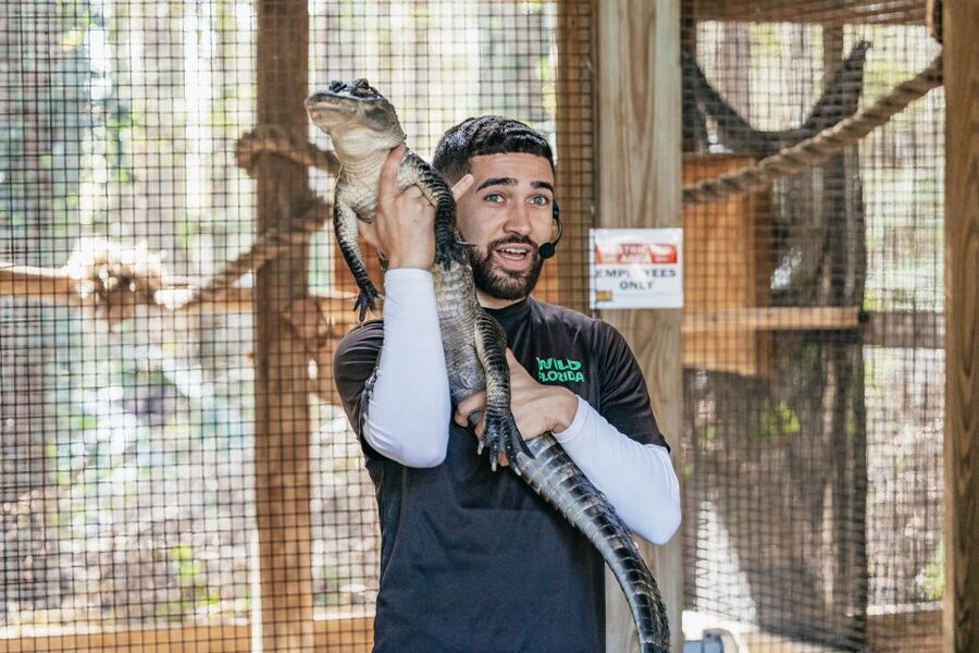 Orlando: Drive-Thru Safari Park at Wild Florida - How the heat and timing affect your visit