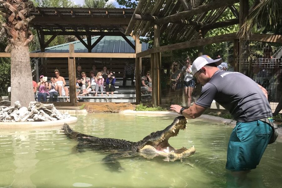 Orlando: Everglades Airboat Ride and Wildlife Park Ticket - Should you book this Orlando airboat tour?