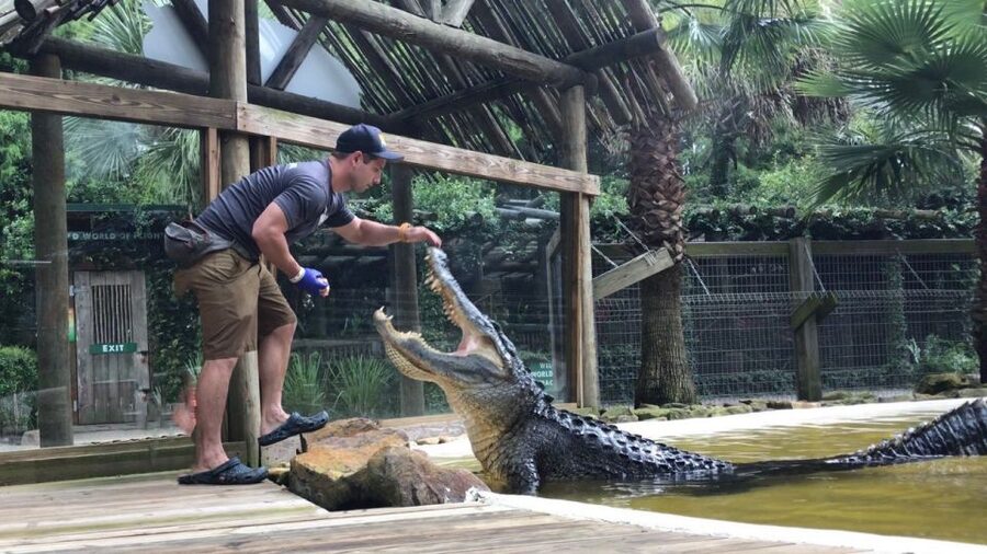 Orlando: Everglades Airboat Ride and Wildlife Park Ticket - The wildlife park turns a short tour into a half-day outing