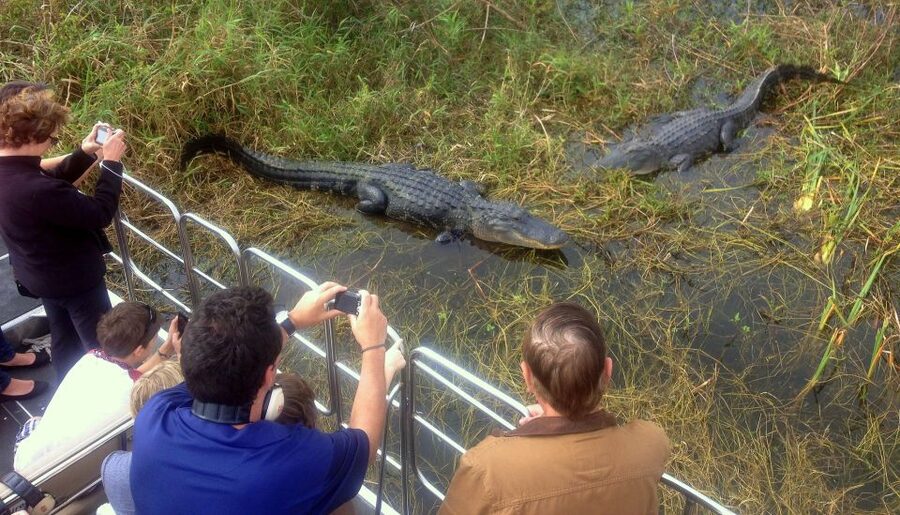 Orlando: Everglades Airboat Ride and Wildlife Park Ticket - Getting there and planning the day