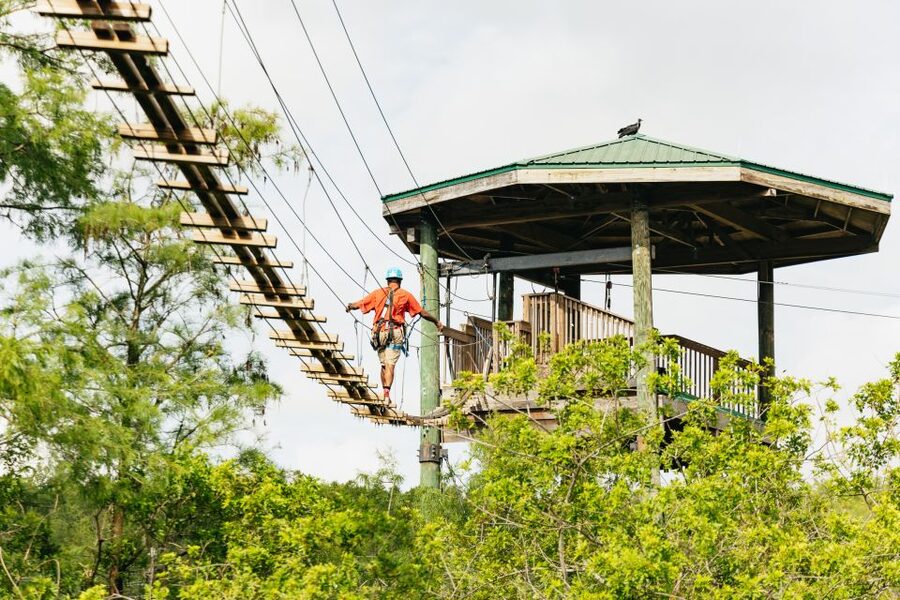 Orlando: Gatorland Skip-the-Line Ticket - Skip-the-line entry: useful, but not always essential