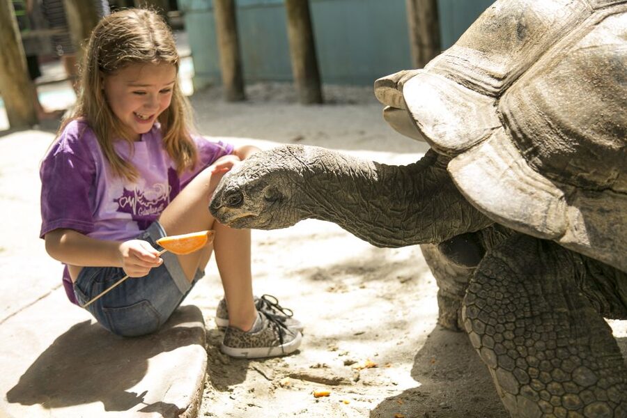Orlando: Gatorland Skip-the-Line Ticket - Start with the alligator trails and breeding marsh