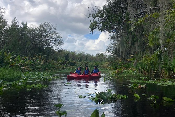 Orlando Manatee Encounters - Paddling toward Blue Springs