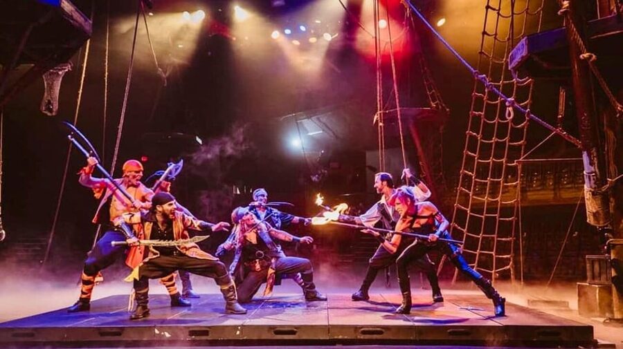 Orlando: Pirates Adventure Dinner Show with Drinks - Who will enjoy this most?