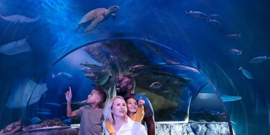 Orlando: SEA LIFE Orlando Aquarium - Accessibility and practical details