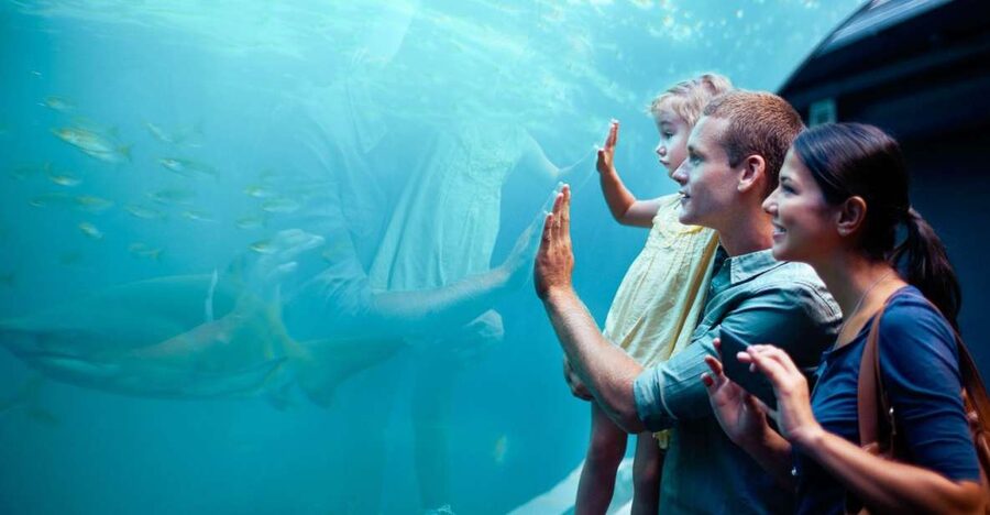 Orlando: SEA LIFE Orlando Aquarium - The self-guided format keeps the visit flexible