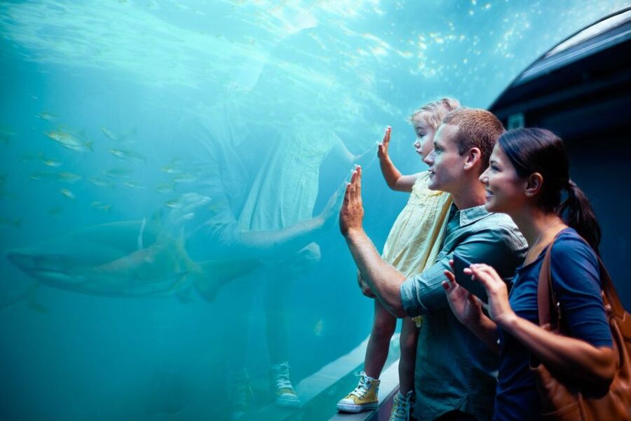 Orlando: SEA LIFE Orlando Aquarium - How long should you plan to stay?