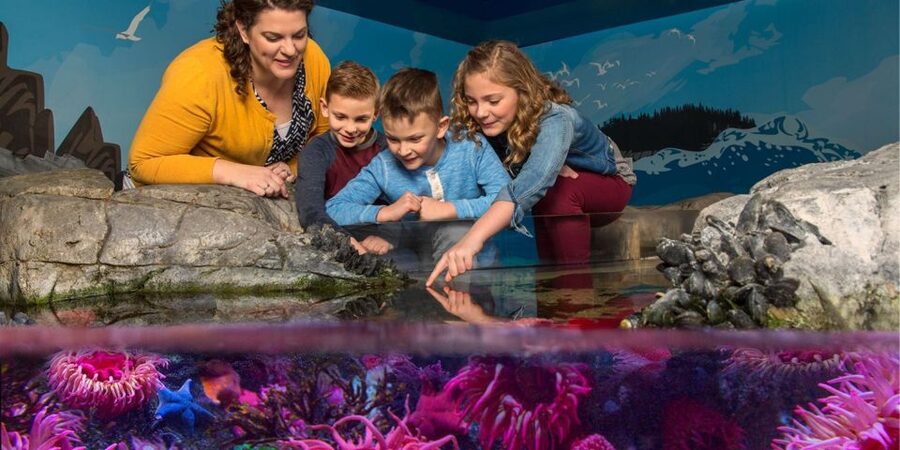 Orlando: SEA LIFE Orlando Aquarium - Is $30 a fair price?
