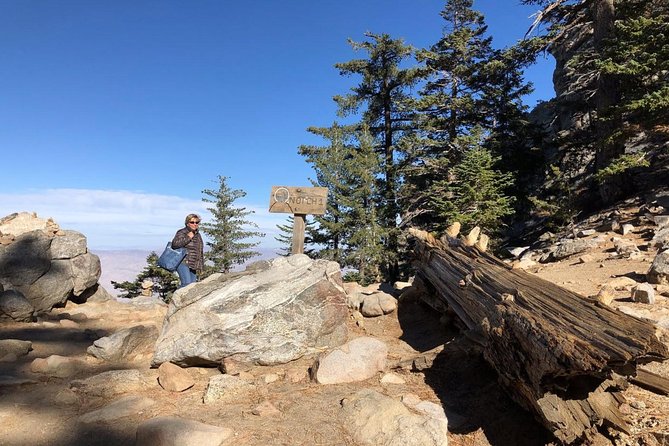 Palm Springs Aerial Tramway Admission Ticket - From desert heat to alpine air in 15 minutes
