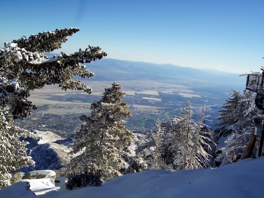 Palm Springs: Aerial Tramway Round-Trip Ticket - From desert heat to an 8,516-foot mountain station