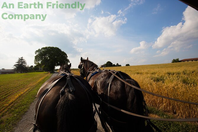 Philadelphia and Amish Country, 1-Day Tour from NYC - Elfreth’s Alley and Philadelphia’s old streets