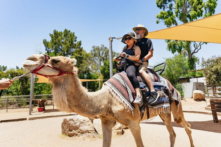 Phoenix Zoo One Day General Admission Ticket - What to bring and what not to bring