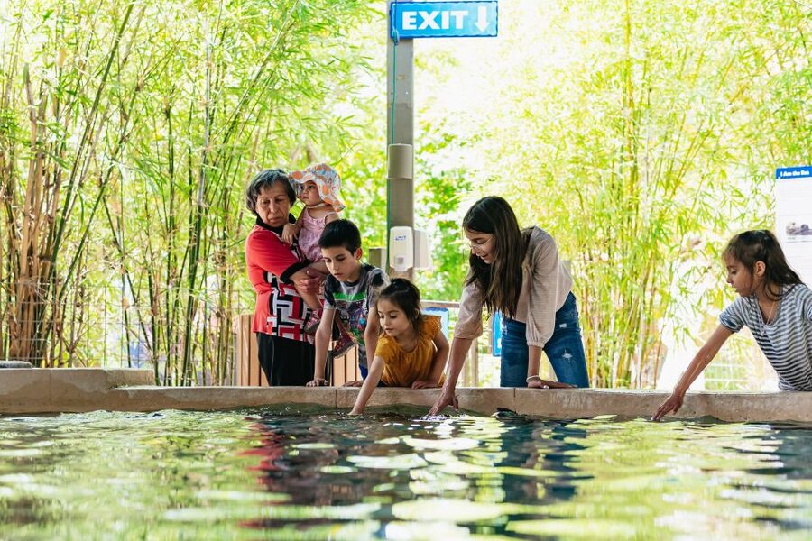 Phoenix Zoo One Day General Admission Ticket - A 125-acre zoo with room to roam
