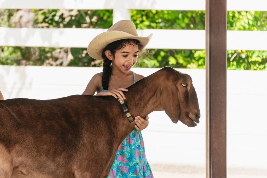 Phoenix Zoo One Day General Admission Ticket - What the reviews reveal about the practical experience