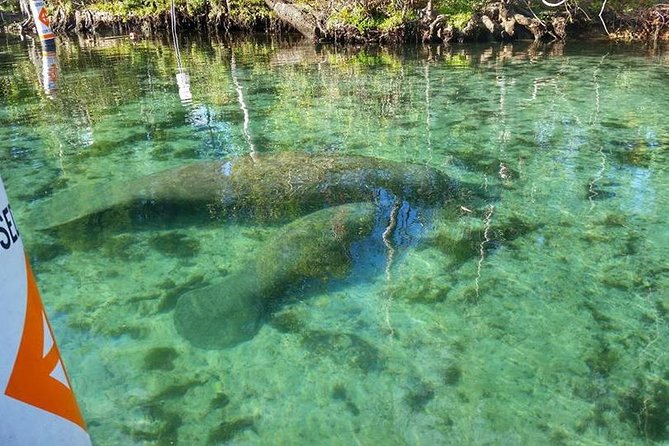 Plantation's Kings Bay Scenic Cruise - What the one-hour cruise is really like