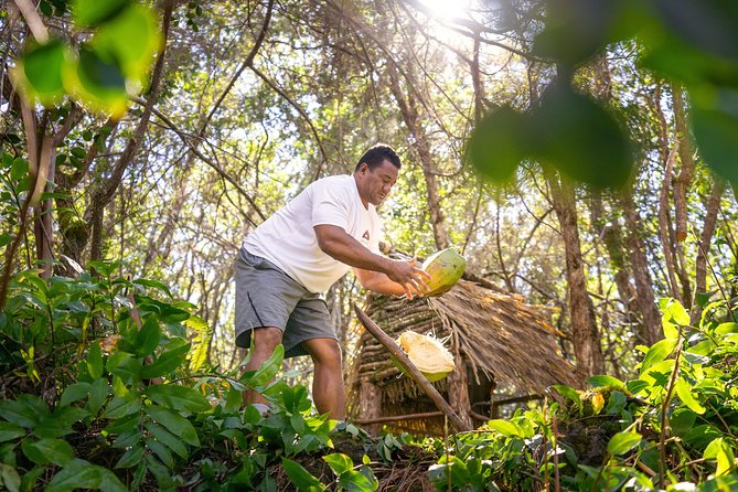 Polynesian Cultural ATV Tour in Kona - Choosing between the ATV and UTV