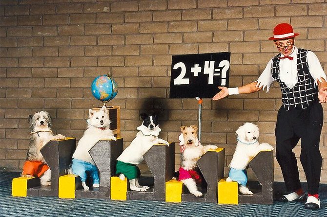 Popovich Comedy Pet Theater at Planet Hollywood Resort and Casino - The Miracle Mile Shops Before and After the Show