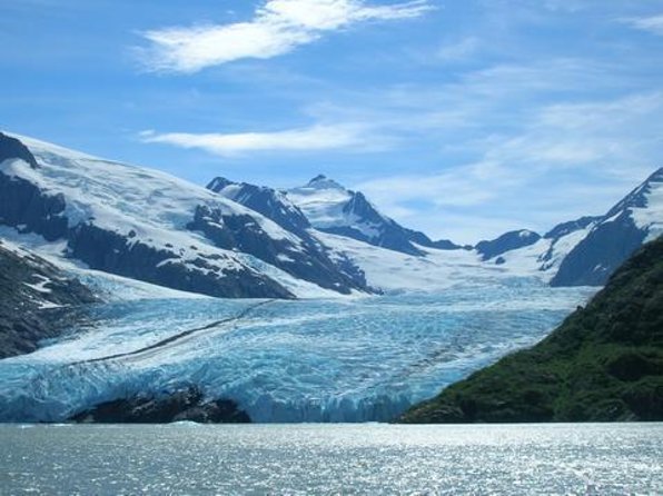 Portage Glacier Cruise and Wildlife Explorer Tour - Why this Anchorage day trip works