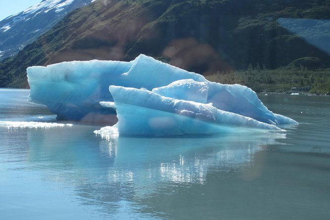 Portage Glacier Cruise and Wildlife Explorer Tour - What the guide adds between the stops