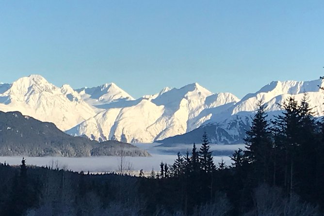 Portage Glacier Cruise and Wildlife Explorer Tour - Price, timing, and what you receive