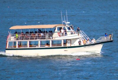 Best of Maine Lighthouse Scenic Cruise