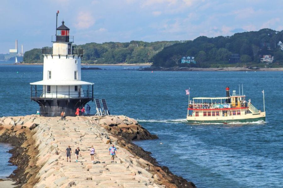 Portland: Best of Maine Lighthouse Scenic Cruise - Watching for seals and other marine life
