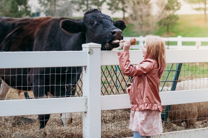Premium Amish Country Tour including Amish Farm and House - What this Lancaster tour actually offers