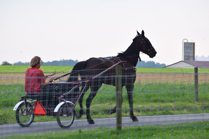 Premium Amish Country Tour including Amish Farm and House - Is $38.95 a fair price?