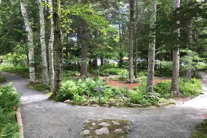 Premium Narrated Bus Tour of Bar Harbor and Acadia National Park (3.5 Hours) - Jordan Pond offers a calmer final stop