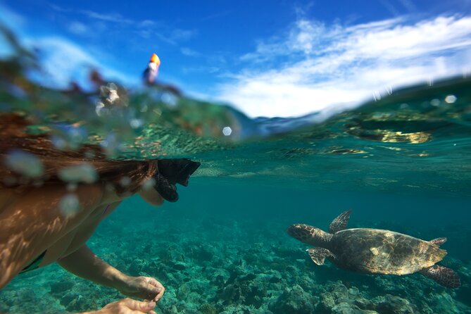 Premium Oahu Circle Island Tour – Small Group, No Crowds - Waimea Bay, Sunset Beach, and North Shore surf country