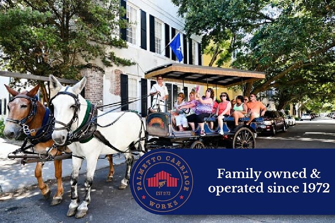 Private Daytime Horse-Drawn Carriage Tour of Charleston - What the carriage ride feels like in practice