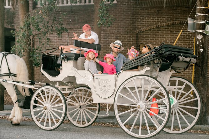 Private Daytime Horse-Drawn Carriage Tour of Charleston - Timing, route length, and the small print