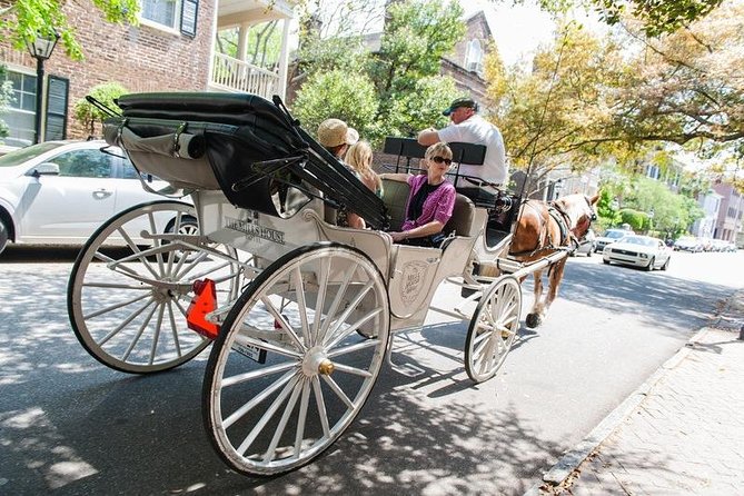 Private Daytime Horse-Drawn Carriage Tour of Charleston - What I would do with the route lottery