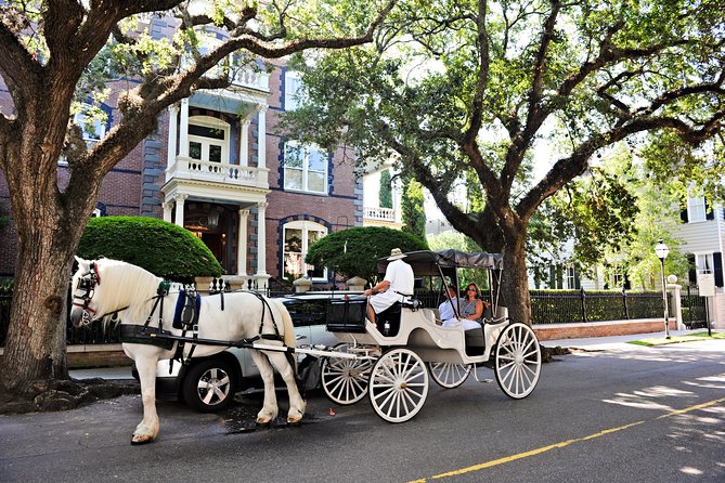 Private Daytime Horse-Drawn Carriage Tour of Charleston - Is this private Charleston carriage tour worth booking?