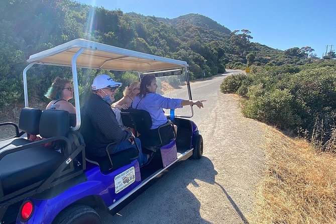 Private Guided Golf Cart Tour of Avalon - The Wrigley Memorial and Botanical Garden