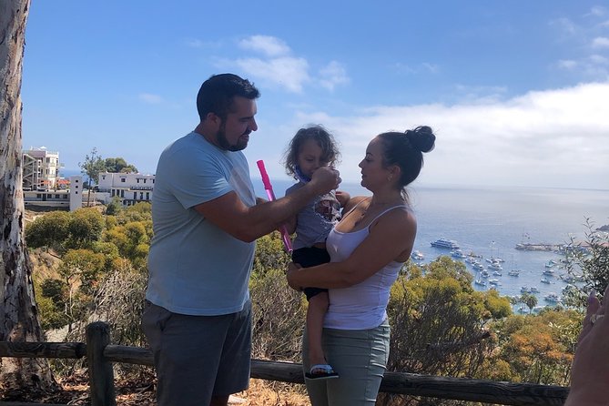Private Guided Golf Cart Tour of Avalon - What the guide adds to the ride