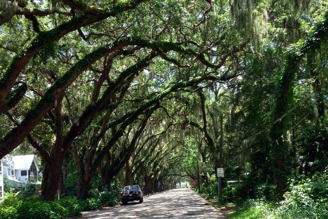 Private Guided Historic Electric Cart Tour of St. Augustine - Churches, Landmarks, And The Best Photo Opportunities