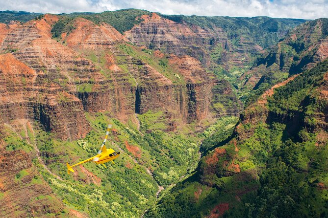 Private Kauaʻi Experience: Doors-Off ALL WINDOW SEATS - Waterfalls in Kauai’s wet interior