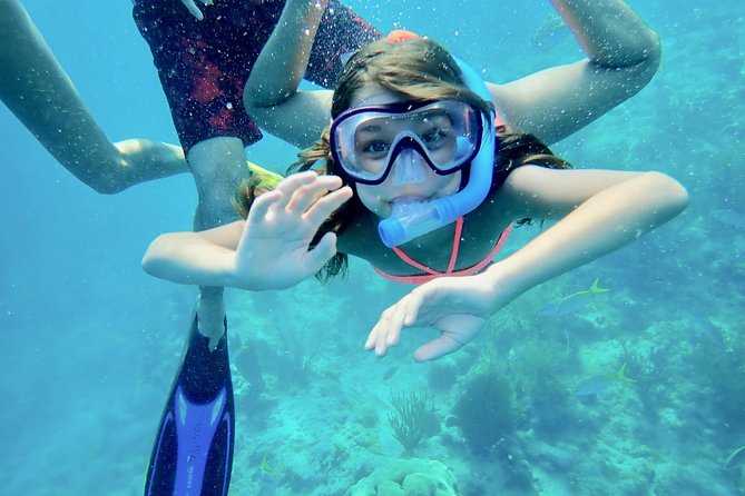 Private Looe Key Snorkel from Big Pine Key - Why Looe Key is worth the trip